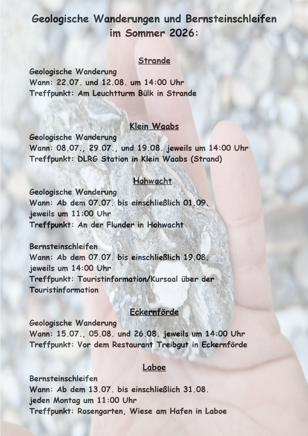 Geologische Wanderungen und Bernsteinschleifen im Sommer 2026